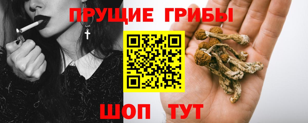 Псилоцибиновые грибы GOLDEN TEACHER  Вход с VPN  Галлюциногенные грибы мицелий  Ангарск 